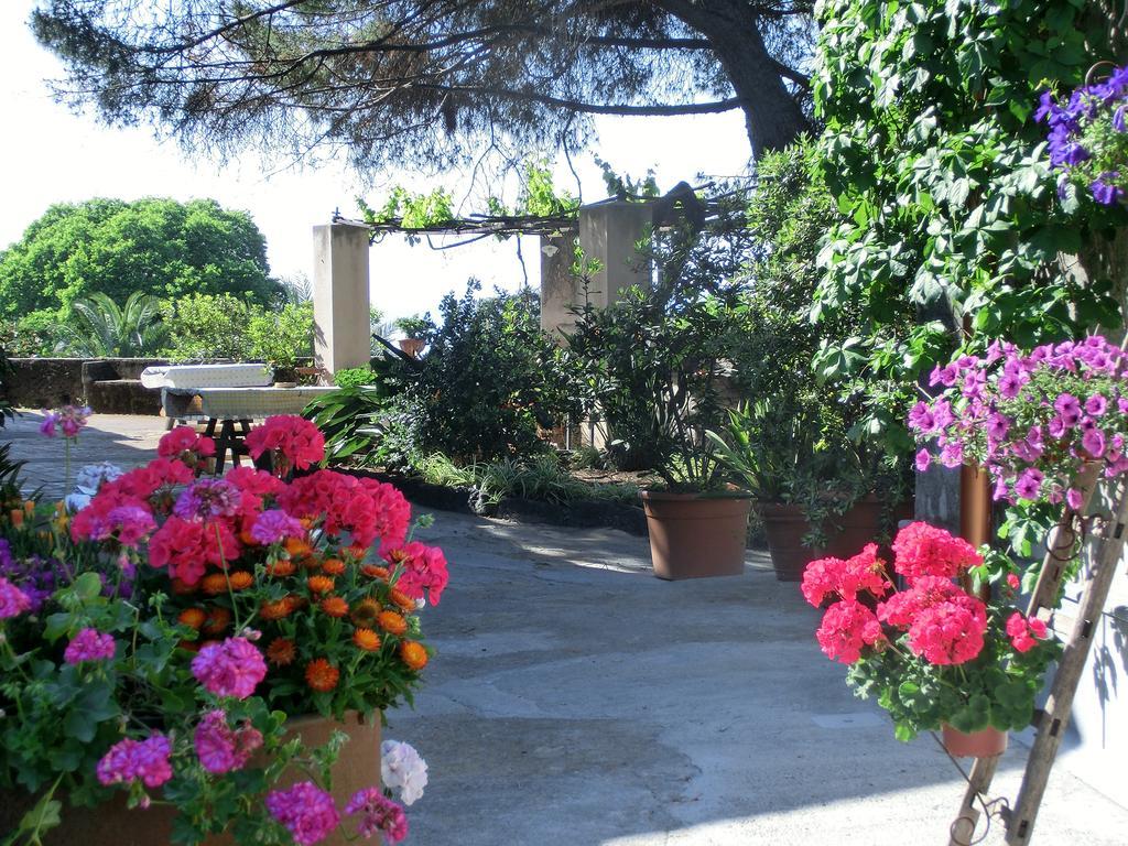Il Limoneto Acireale Villa Exterior foto