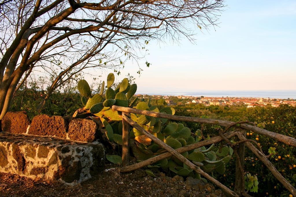 Il Limoneto Acireale Villa Exterior foto